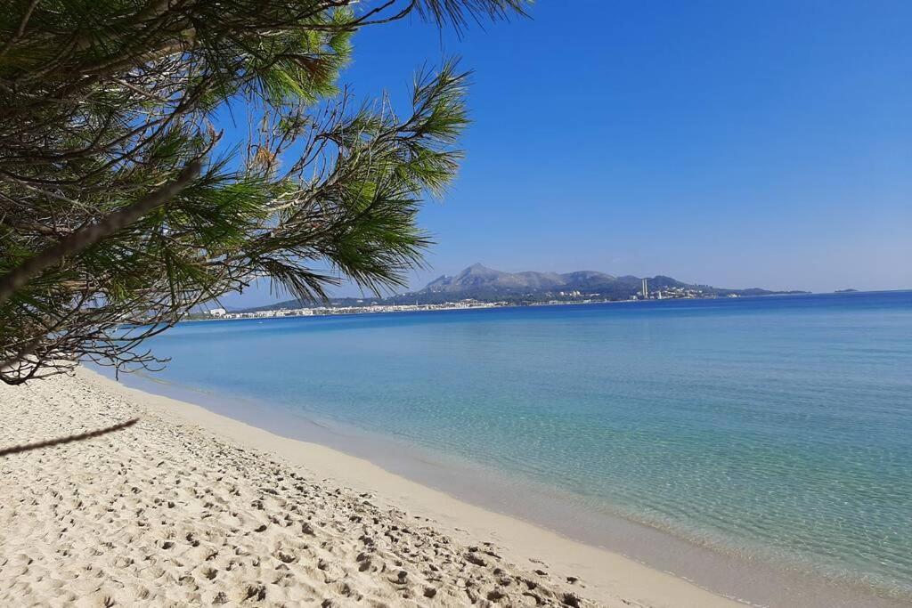 Apartment Francesca Beach With Pool In Playa De Alcudia Alcudia (Mallorca)